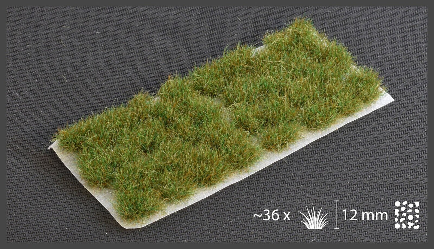 Strong Green XL 12mm Wild - Wargames Warehouse