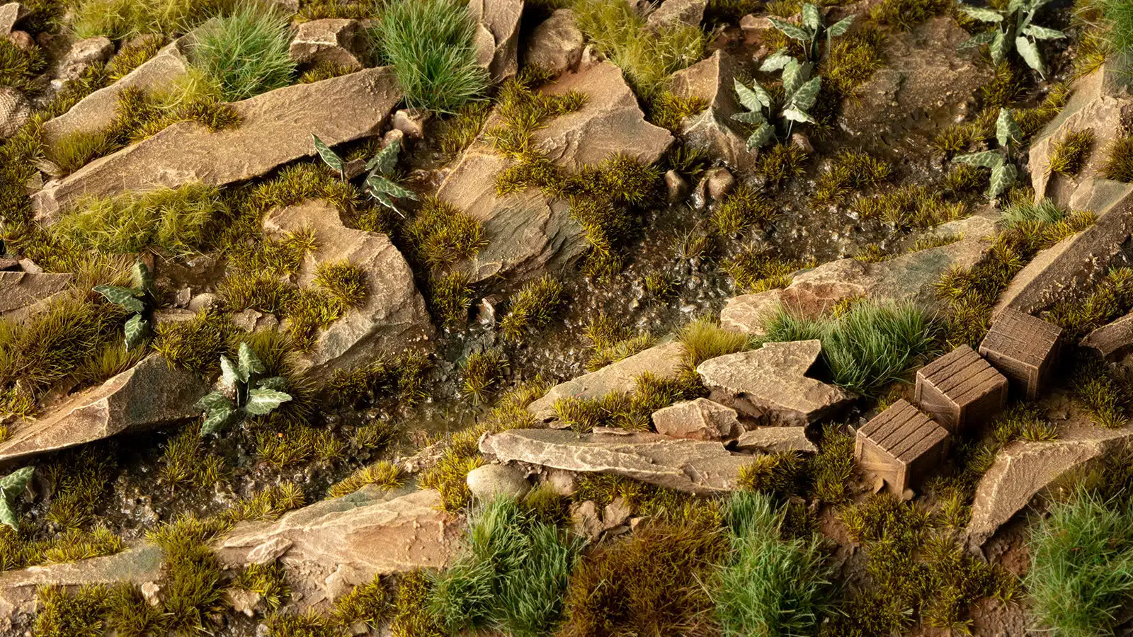 dark-moss_2mm_diorama_1600x900_c80ae0d3-67f2-4621-a67a-17561b1abca4.webp