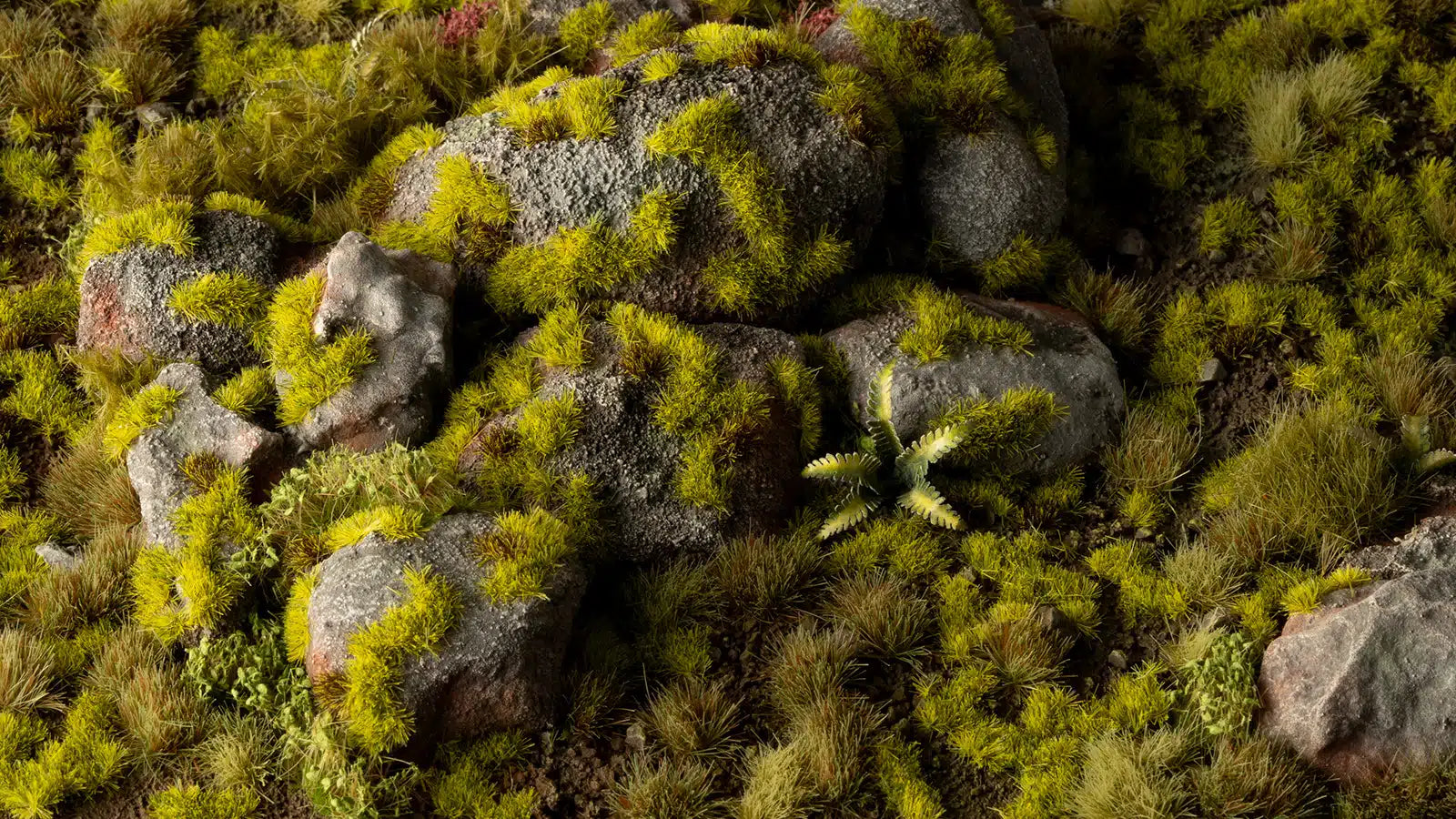 moss_2mm_diorama_1600x900_10ffccd8-dab0-48c5-bed1-2d605c20a818.webp